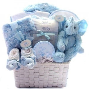 Baby Shower Gift Baskets For Boys