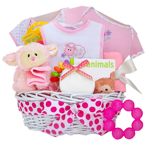 Baby Shower Gift Baskets Ideas For Girls