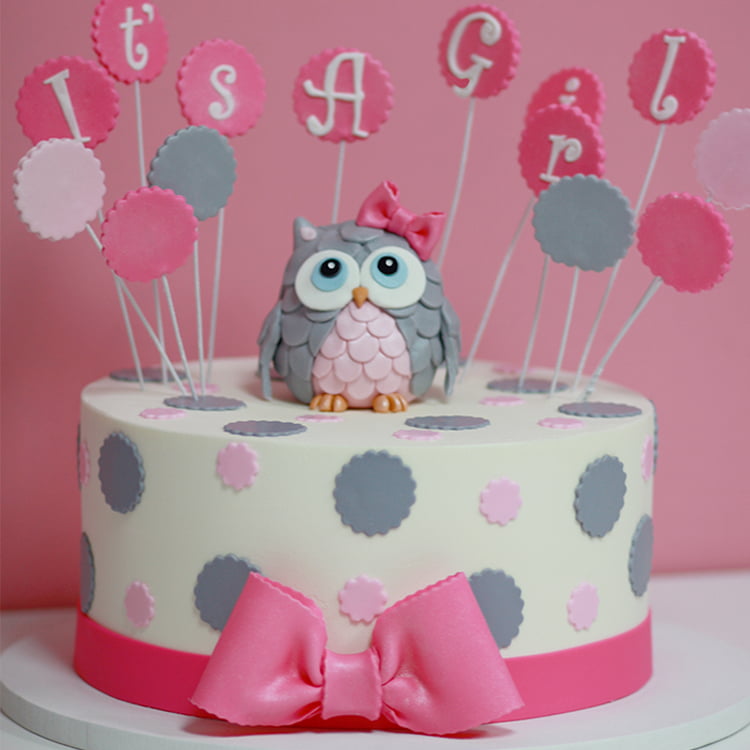 Girls Baby Shower Owl Cake Decoration