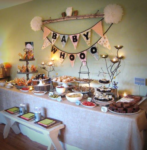 Owl Theme  Baby Shower Decorations Ideas